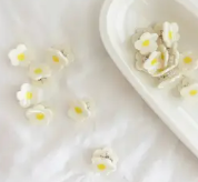 Bath and Beauty - Mini Spring Clips