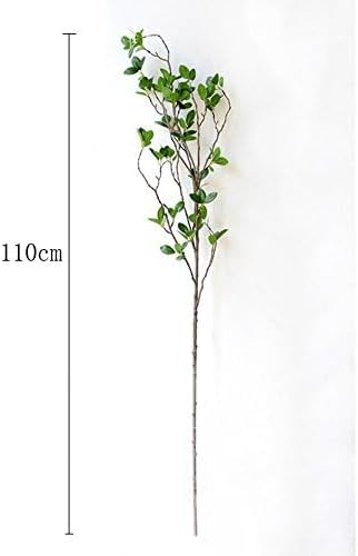 Plant - Eucalyptus Branches