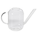 Plant Accessory - Miniature Glass Watering Can