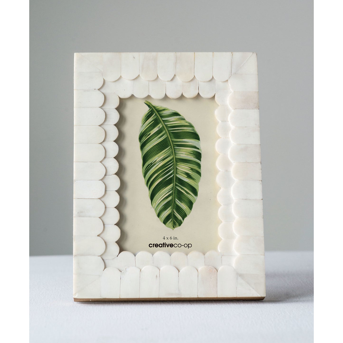 Frame - Scalloped Bone (4x6" Photo)