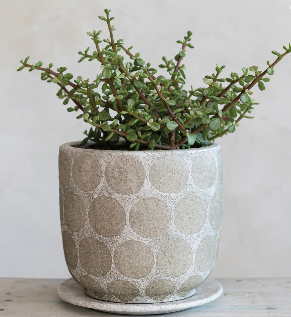 Planter - Terracotta with Dots