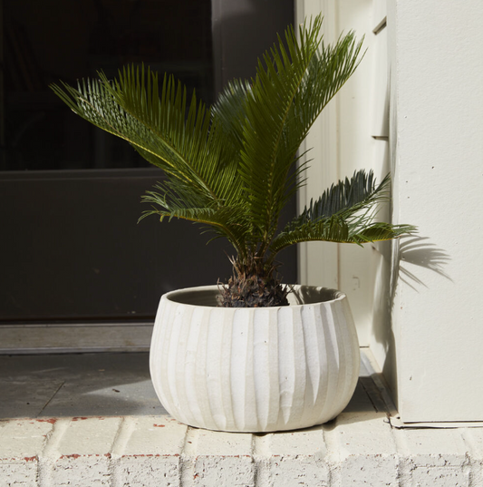 Bowl - Ribbed Ceramic Low Bowl