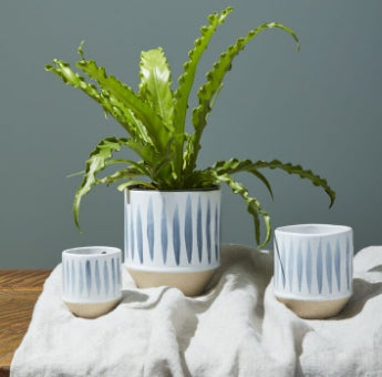 Planter - Miniature Blue Stripes