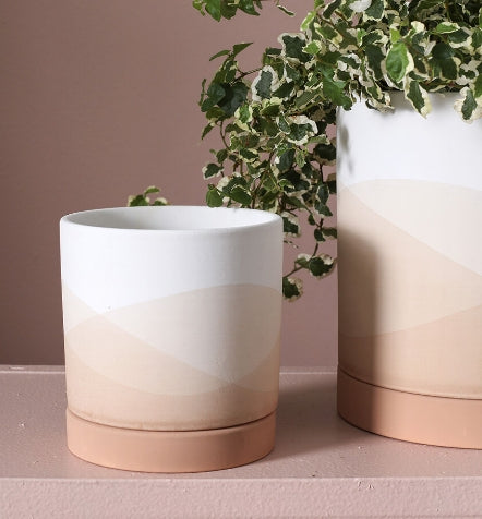 Planter - Ceramic with Saucer