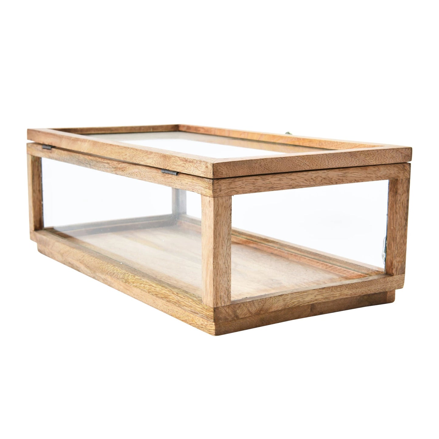 Decorative Box - Mango Wood and Glass Display Box with Lid