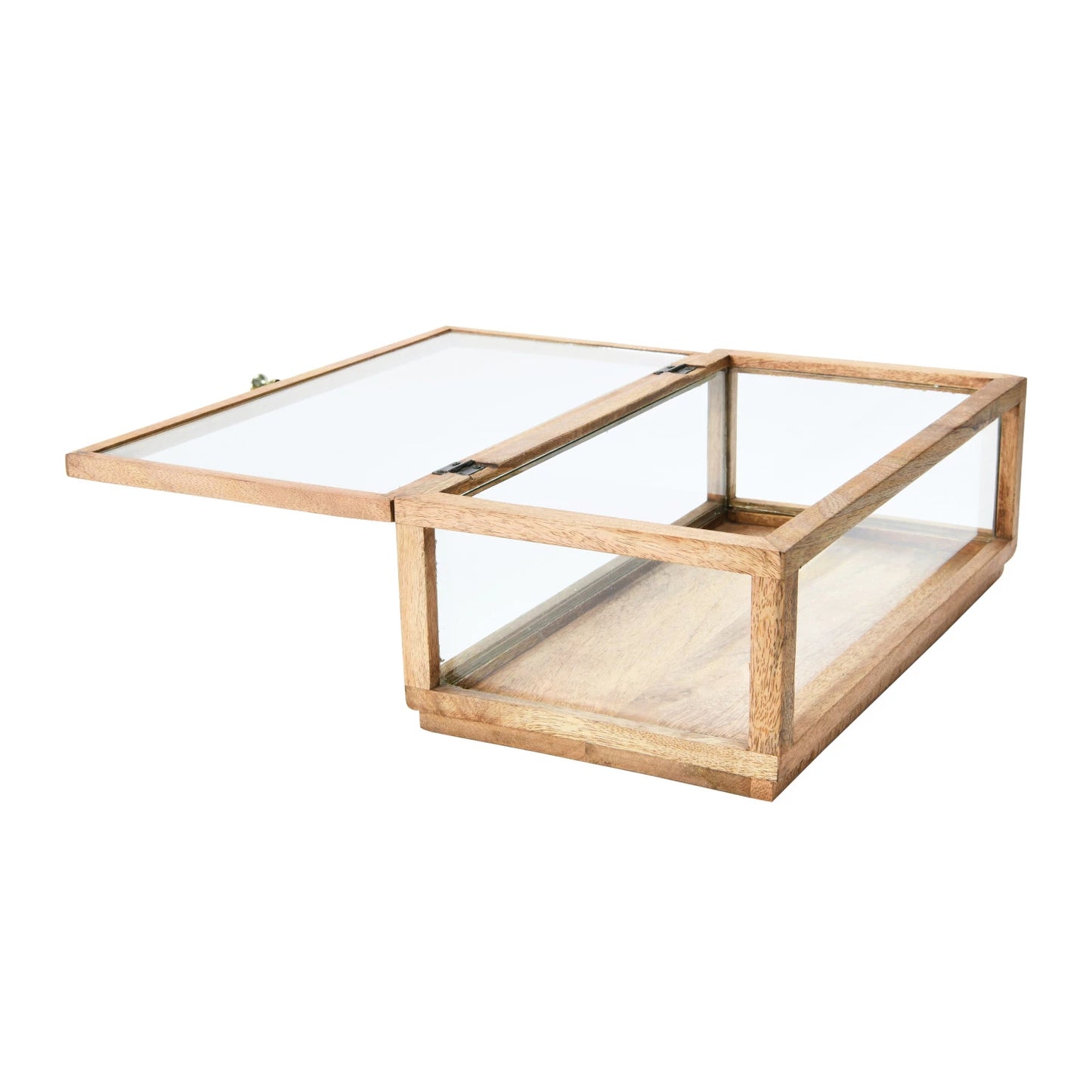 Decorative Box - Mango Wood and Glass Display Box with Lid